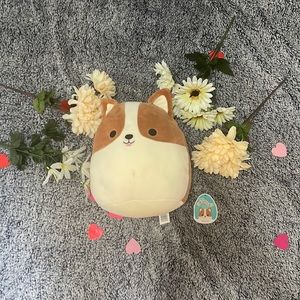 This is Reginald, He is a cute dog who is a great snuggle. and Very clean.